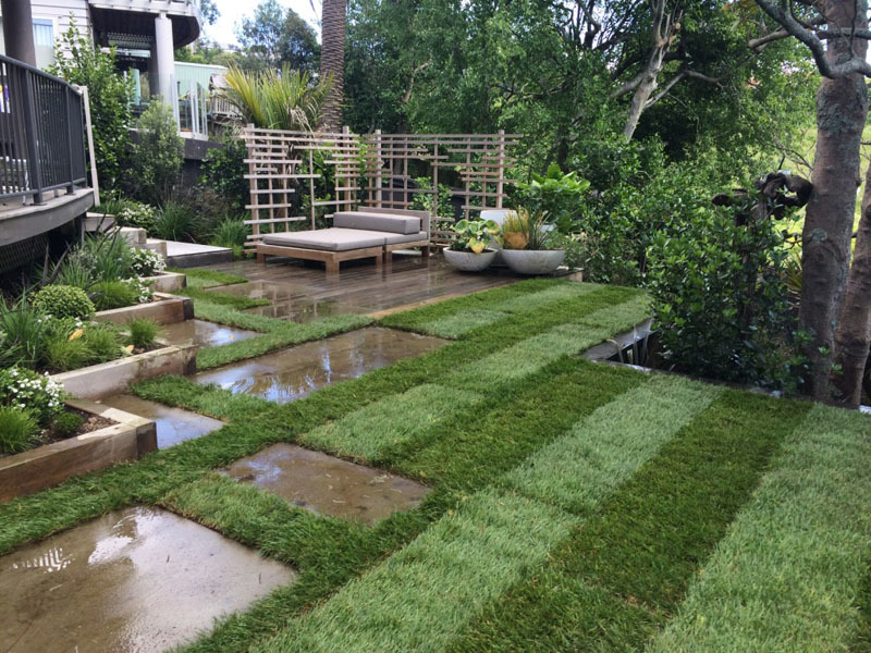 Garden Design Parnell, Auckland | Garden Makeovers St Heliers